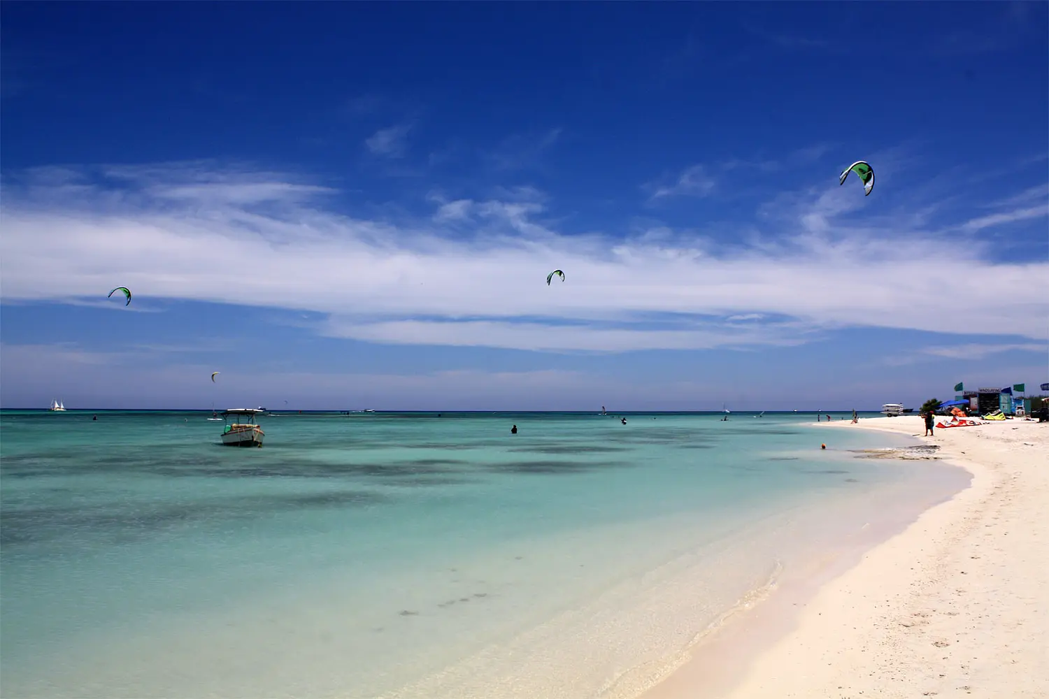 Kites over the flat water off Palm Beach, Aruba