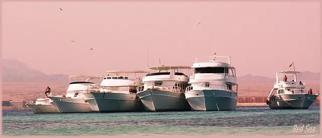 Dive boats moored in Safaga bay