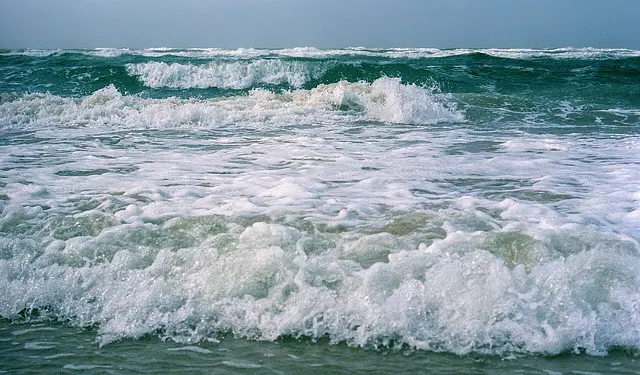 North Sea surf at Bergen aan Zee