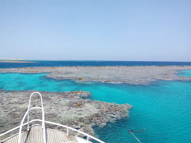Reefs off Hamata