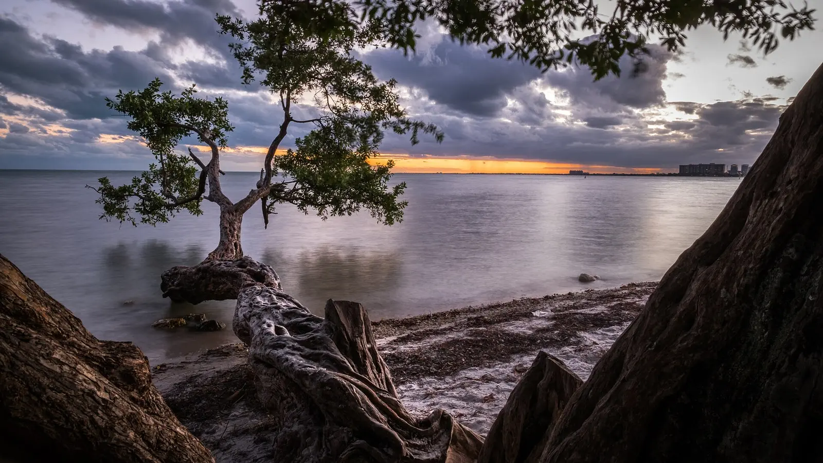 Key Biscayne at sunset
