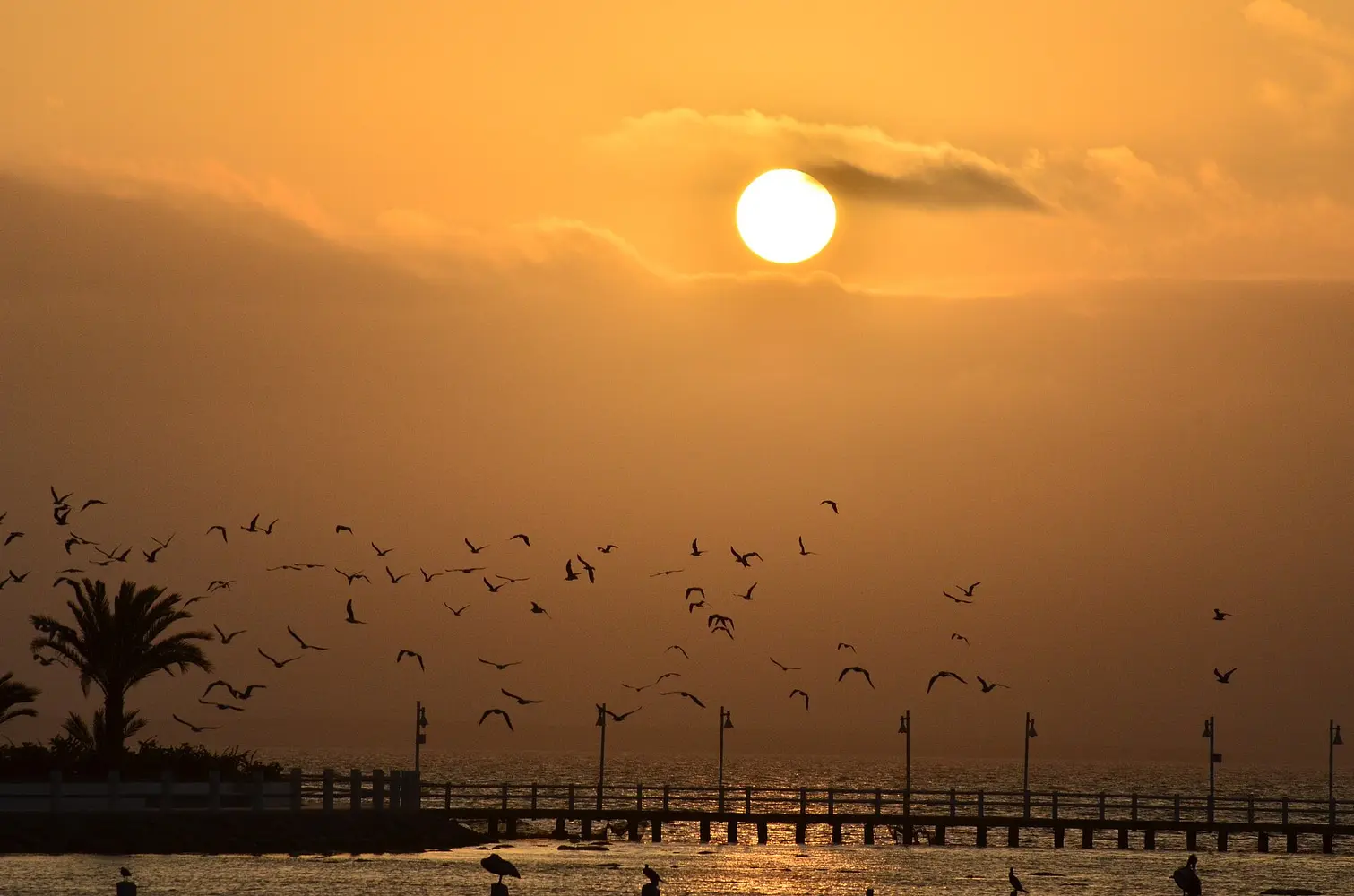Sunset over the bay at Paracas