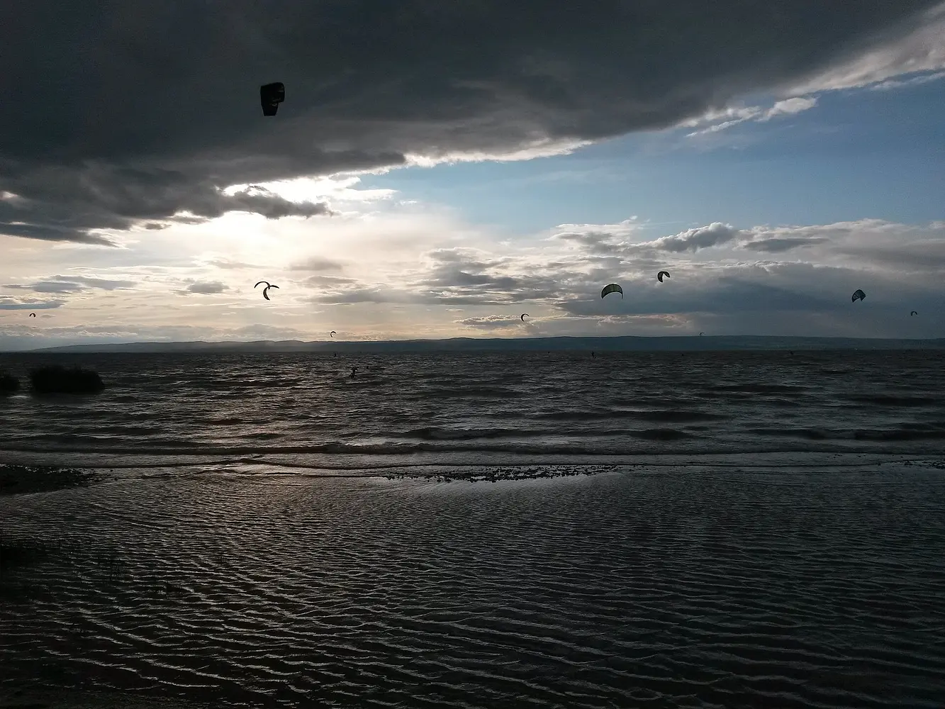 Kites off Podersdorf's north beach on the Neusiedler See
