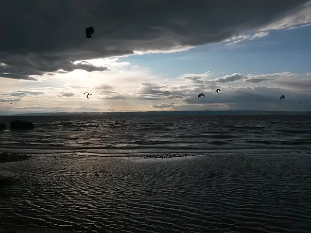Kites off Podersdorf's north beach on the Neusiedler See