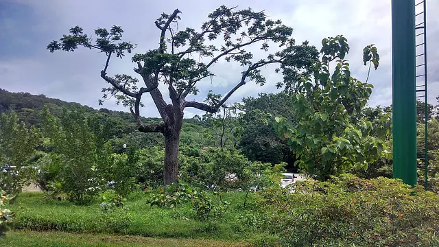 Mahogany Bay, Roatán
