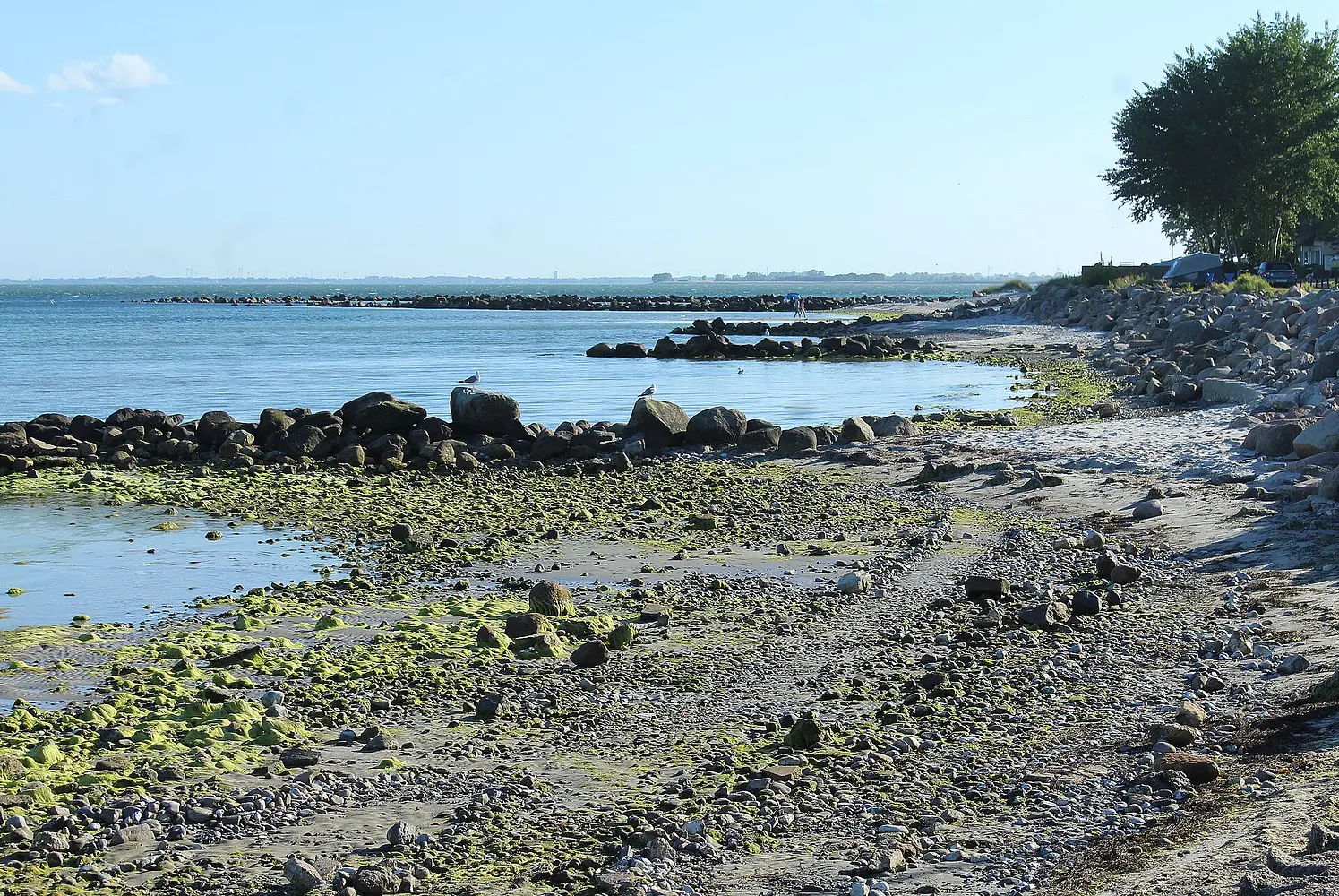 The beach at Wulfener Hals, Fehmarn