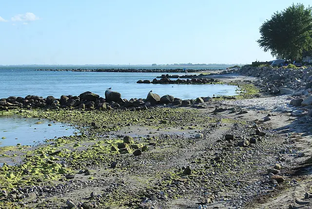 The beach at Wulfener Hals, Fehmarn